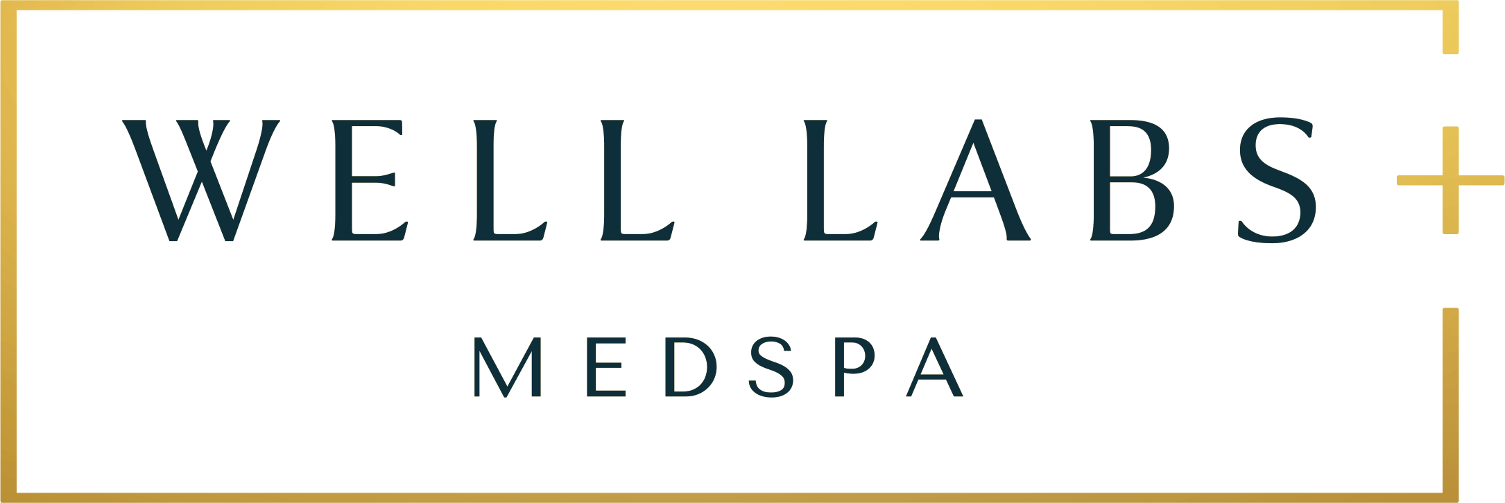 Well Labs+ Medspa – Coconut Creek logo